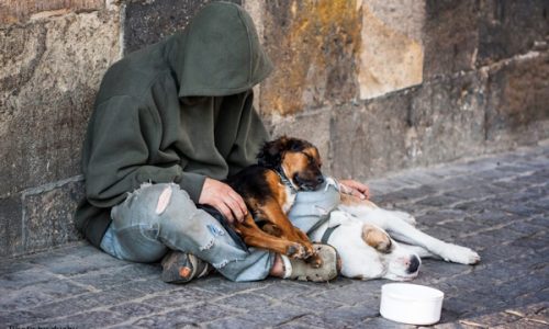 Homeless-man-w-2-Dogs rs