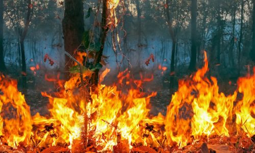 Australia bushfires, The fire is fueled by wind and heat.